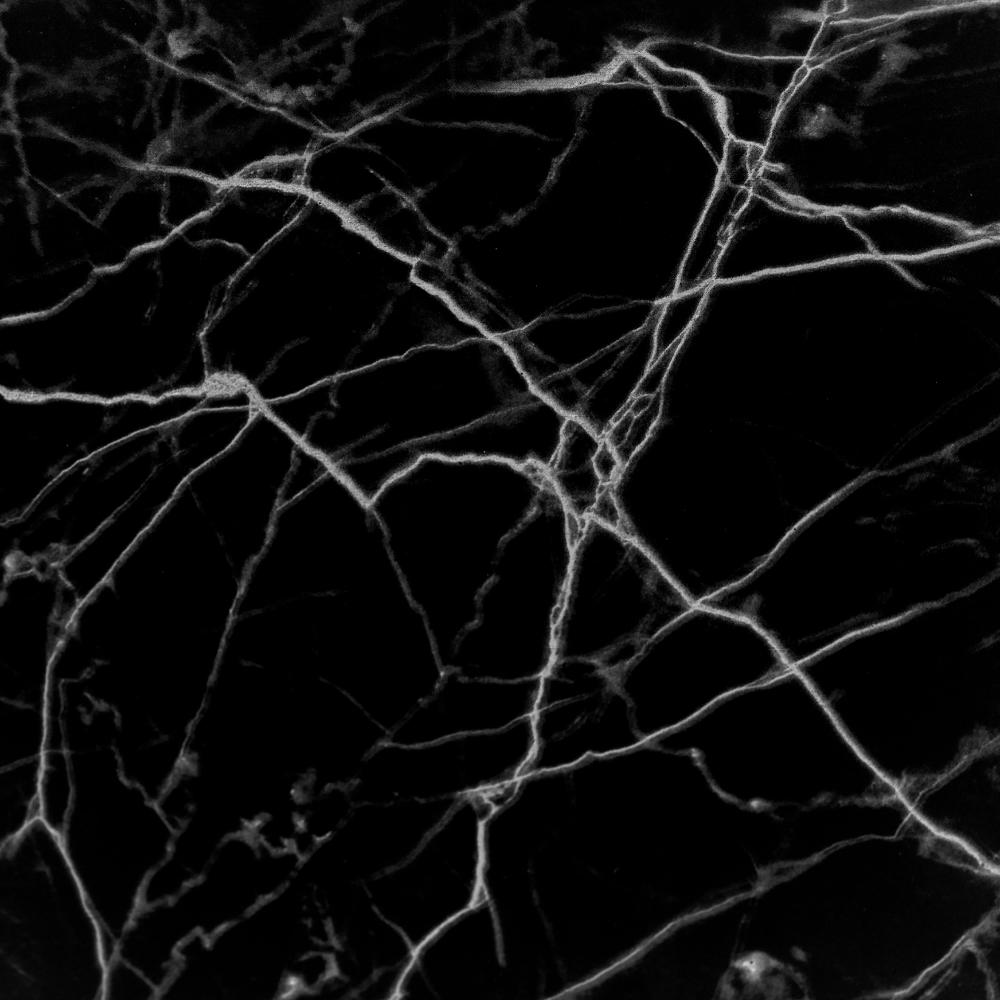 Black Marble - Image 3