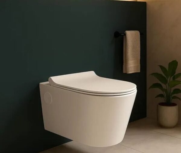 Rimless Toilet Commode