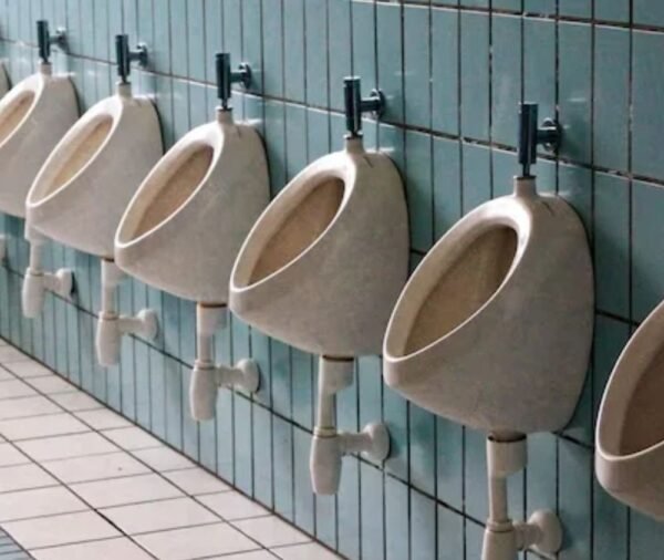 Wall-Mounted Urinal