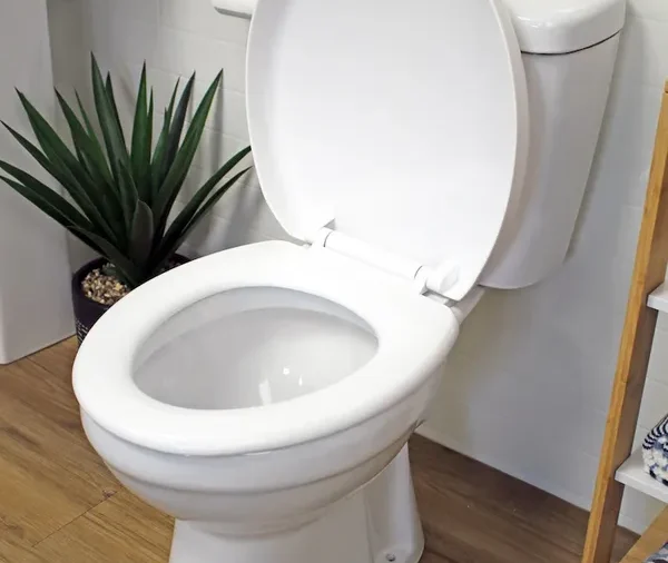 Close-Coupled Toilet