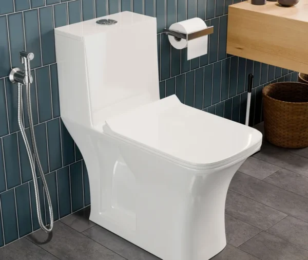 Floor-Mounted Commode